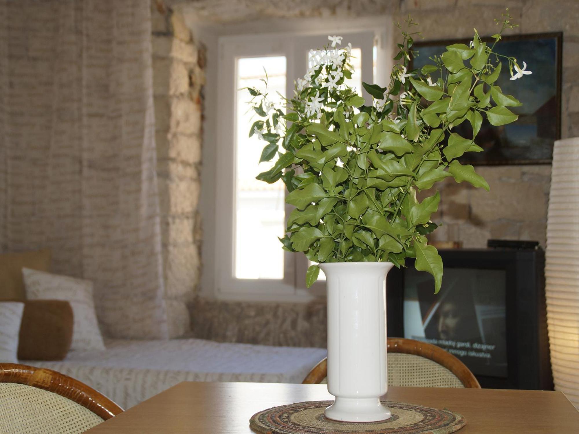 Apartments Stelina Korčula Pokoj fotografie